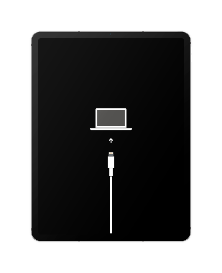 Apple iPad Air (5th Generation) - Using recovery mode - AT&T